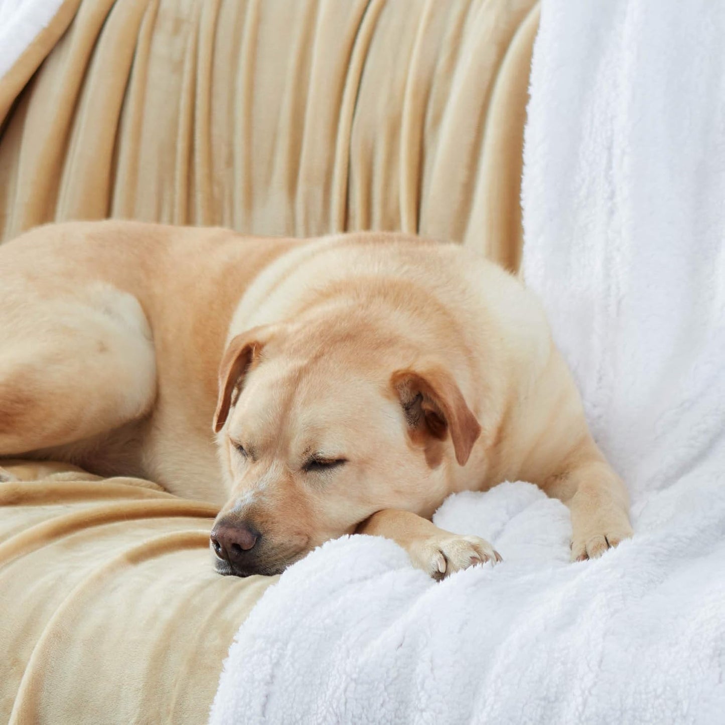 Sherpa Throw Blanket Super Soft Reversible Ultra Luxurious Plush Blanket, 50 X 60 Inches, Camel/White